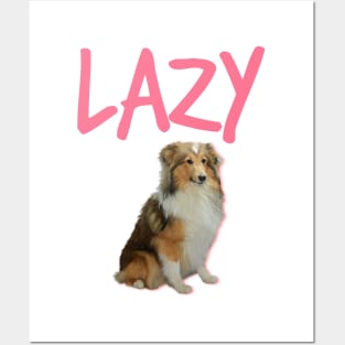 LAZY / The Border collie Posters and Art